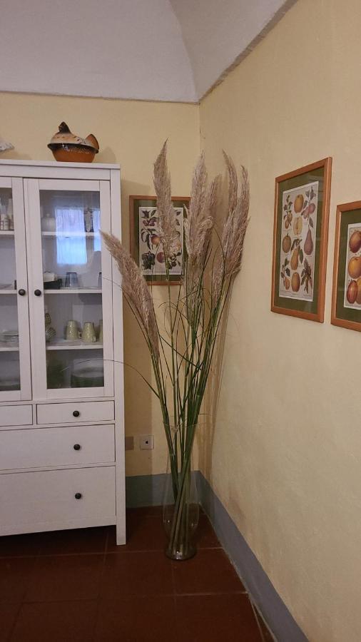 Luisa In Palazzo Bianchi Lägenhet Parma Exteriör bild